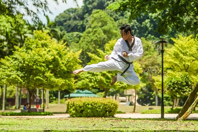 martial arts: benefits of play