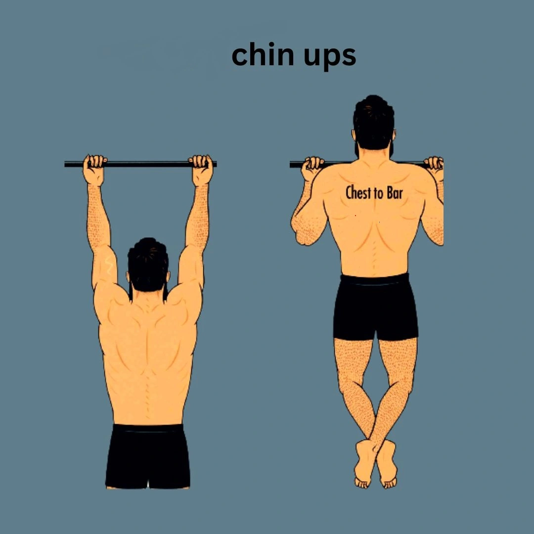  Body Weight Bicep Workouts : chin ups