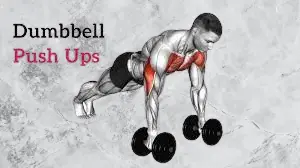 Best dumbbell gym workouts : dumbbell pushups