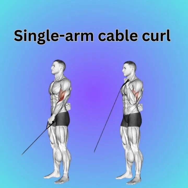 single arm cable curls
